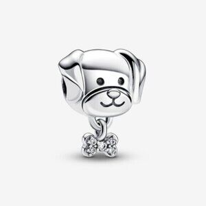 Pandora charms